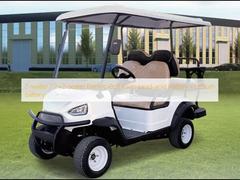 Elektrische Golfkarren mit 2 / 2 + 2 Sitzplätzen